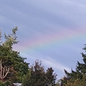 Meet your Posher, Rey